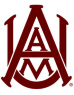 DT Image